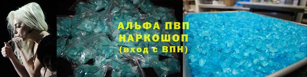 стаф Осташков