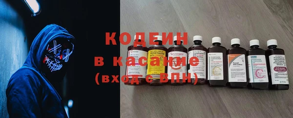 дурь Няндома