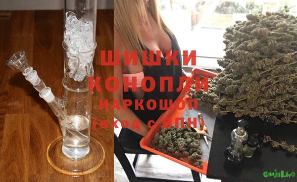 стаф Осташков