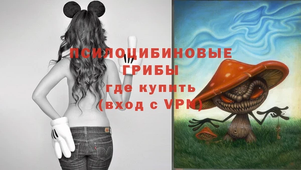 дурь Няндома